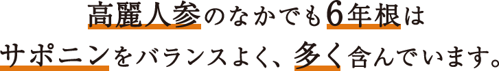 高麗人参のなかでも6年根はサポニンをバランスよく、多く含んでいます。